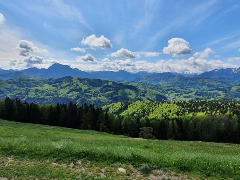 Holzhaus "Zum Schwarz'N" Appartement Aurach am Hongar Buitenkant foto