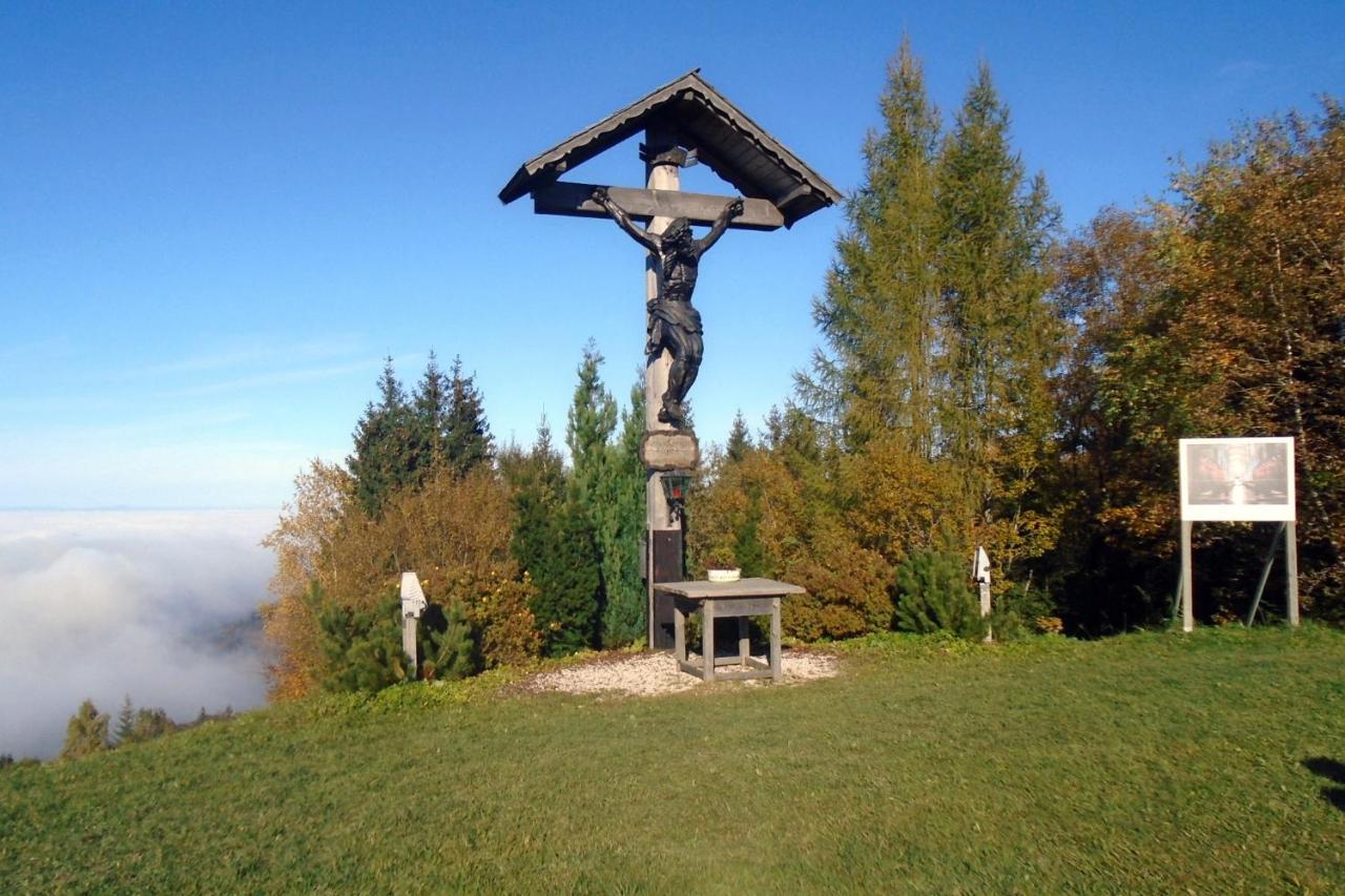 Holzhaus "Zum Schwarz'N" Appartement Aurach am Hongar Buitenkant foto