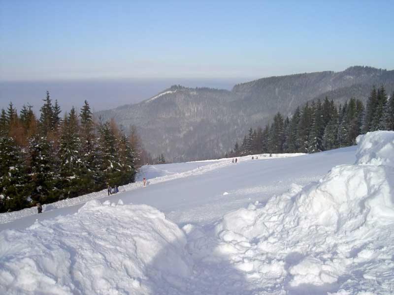 Holzhaus "Zum Schwarz'N" Appartement Aurach am Hongar Buitenkant foto