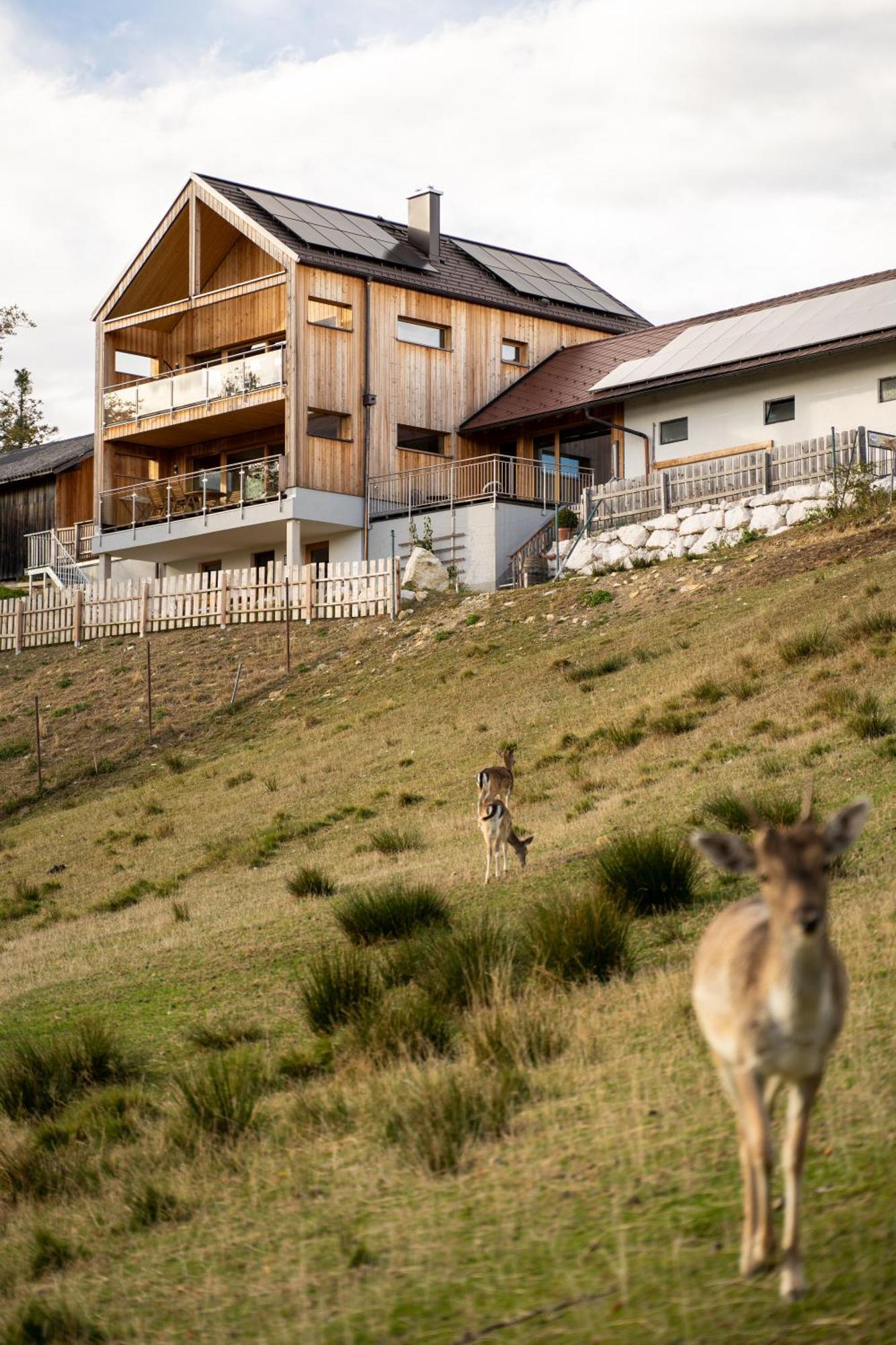 Holzhaus "Zum Schwarz'N" Appartement Aurach am Hongar Buitenkant foto